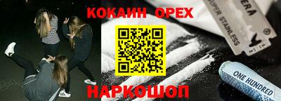 шишки Гай