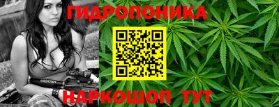 прущая мука Гатчина