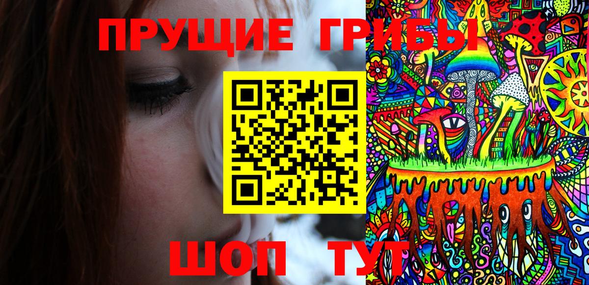 магазин    Псилоцибиновые грибы мицелий  Вход с VPN  Кумертау 